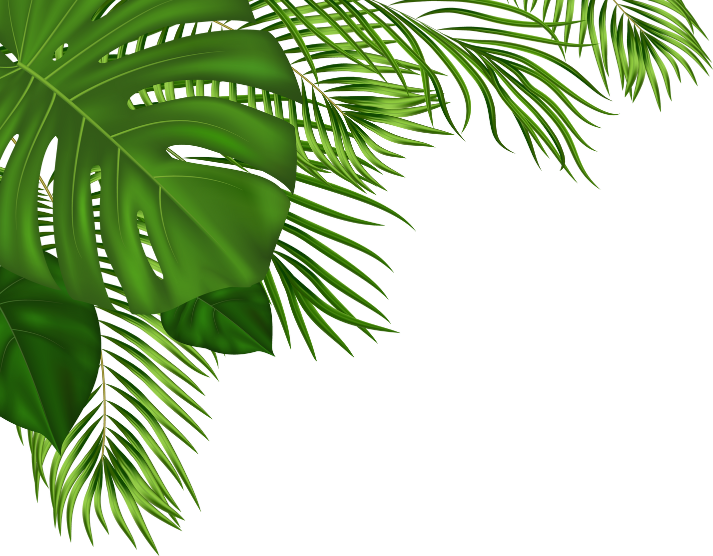 Summer Tropical Background with Green Palm Leaves